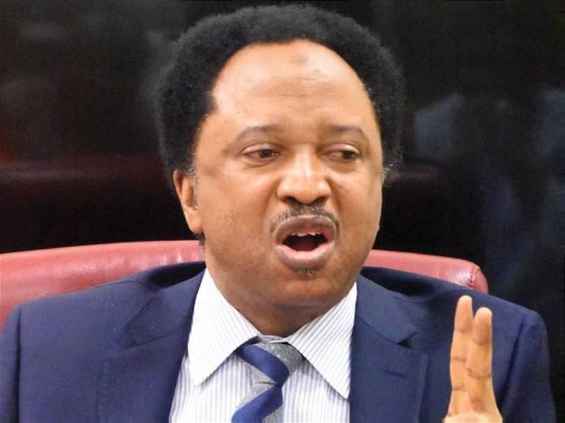 Shehu Sani Provides Insight Into Challenge For Election Petitioners