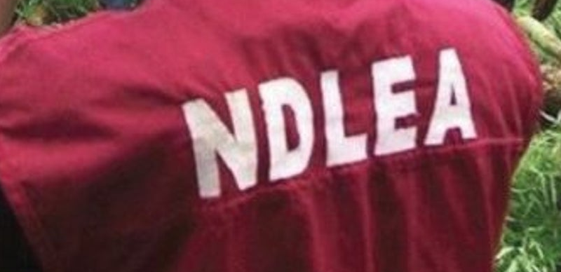 BREAKING: NDLEA Arrests 75-year-old man for drug trafficking in Kano