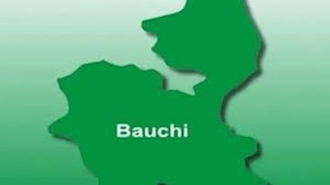 Bauchi.jpeg