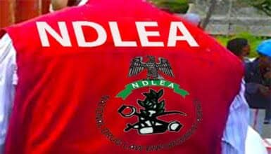 NDLEA.jpg