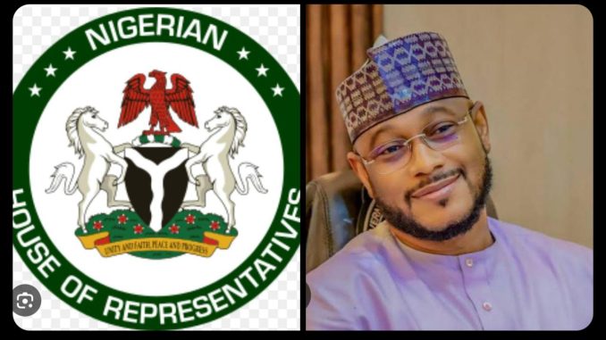 Zamfara-Lawyers-Back-Reps-Summon-Of-Gov-Lawal.jpg