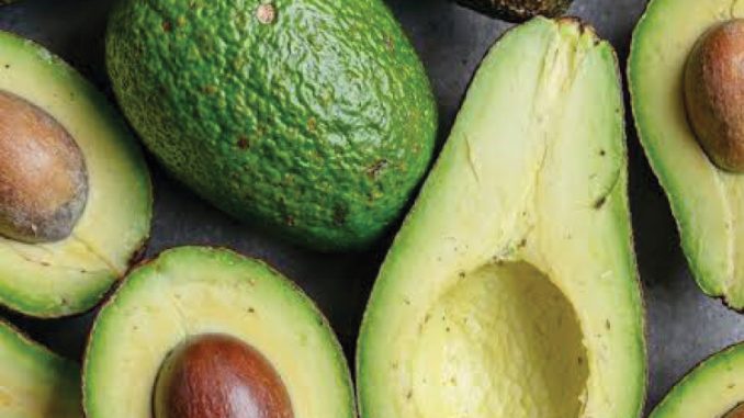 avocado.jpg