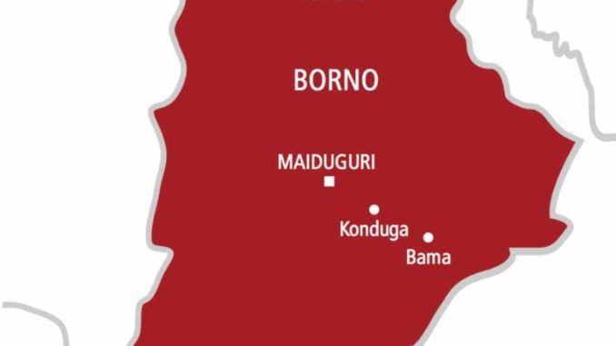borno-state-map.jpeg