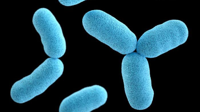 diphtheria.png