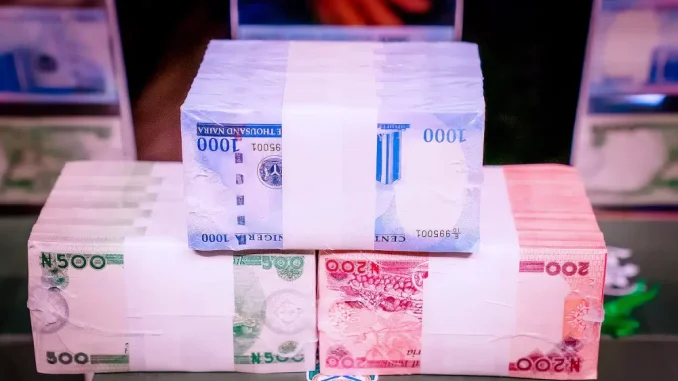 new-naira-5.jpg-1-1000x600.webp.webp