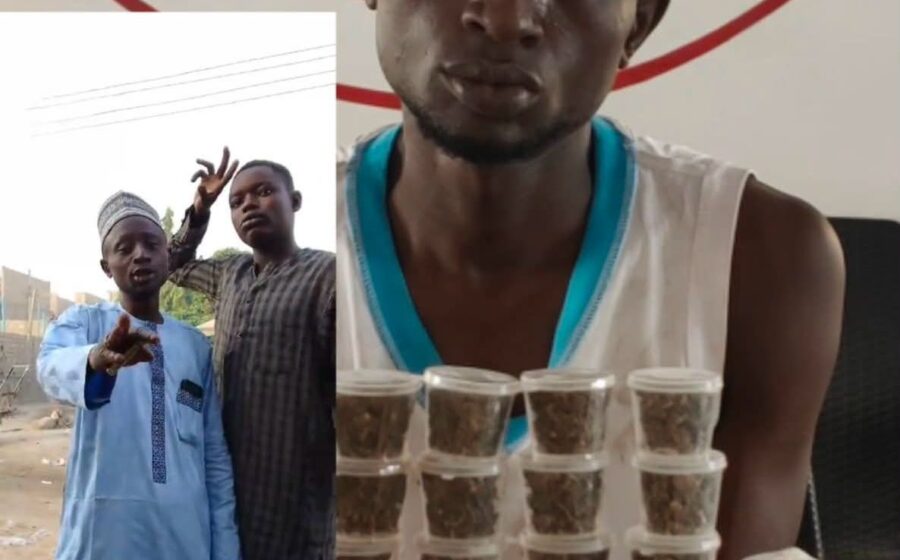 Drug Dealer Jailed 7 Years in Kano for Selling Cannabis on Social Media
