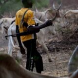 BREAKING: Another Deadly Herdsmen Attack in Benue Sparks Mass Exodus of Residents
