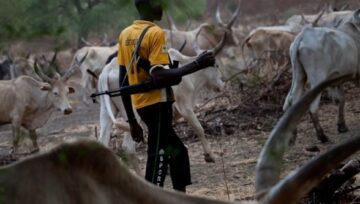 BREAKING: Another Deadly Herdsmen Attack in Benue Sparks Mass Exodus of Residents
