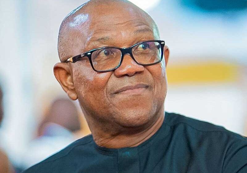 Fresh Petition Filed Against Peter Obi Over Alleged Airport Security Violation