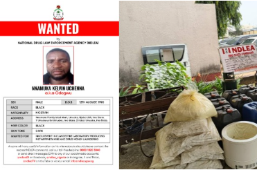 NDLEA Declares Four Wanted Over Drug Trafficking, Freezes N9.8 Billion