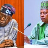 Seyi Tinubu Stronger Than Shettima in Presidency, Says Kwankwasiyya Spokesman Mohammed