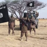 Military Targets Fleeing ISWAP Fighters After Bloody Factional Setback in Lake Chad