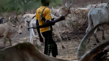 Suspected Herdsmen Kill Scores In Fresh Benue Attack