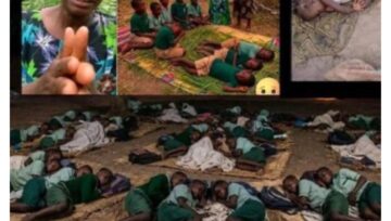 Abducted Oyo, Borno Pupils Brave 54 Days of Heavy Rain in Forest Captivity