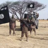Borno Attack: Boko Haram Reveals Demands, Appoints Negotiator for Peace Talks