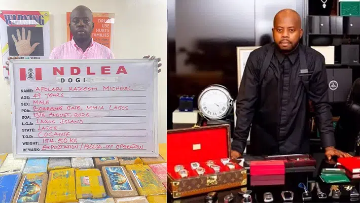 KC Luxury: Court Orders NDLEA to Produce Him After 14 Days in Custody
